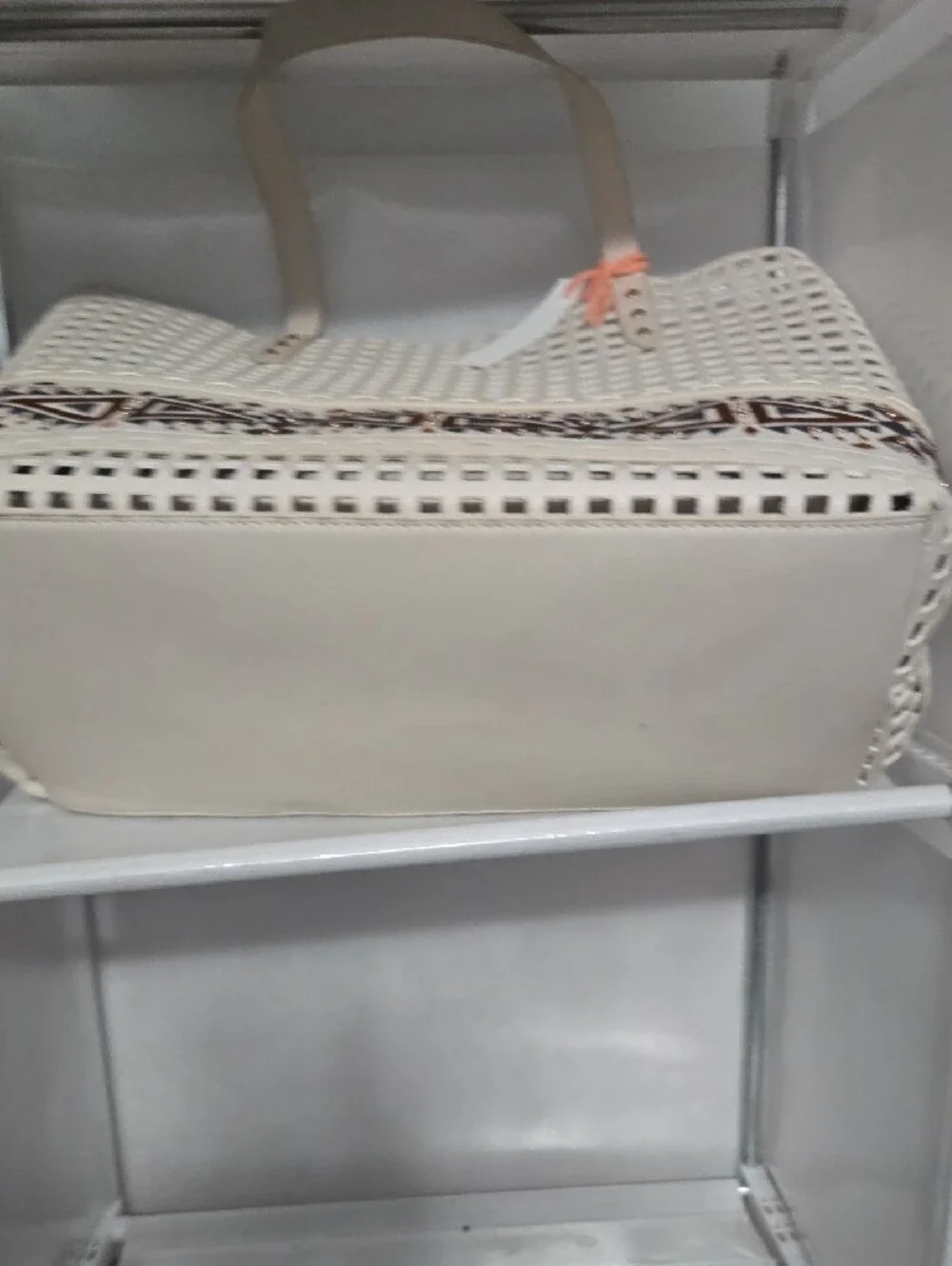 Steve Madden Cream Woven Hobo with Brown & Tan Accents